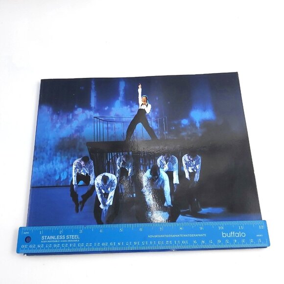 Celine Dion A New Day DVD Set and The Colosseum at Caesars Palace Las Vegas 2007 - Picture 11 of 16